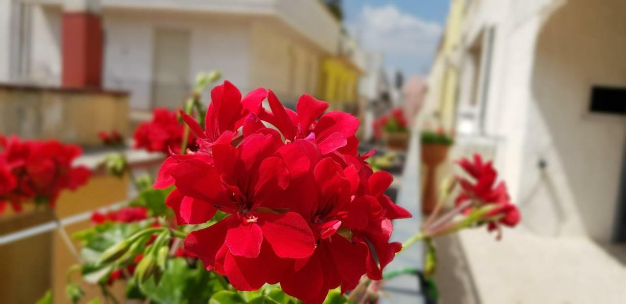 Cupersanum B&B Conversano Eksteriør bilde