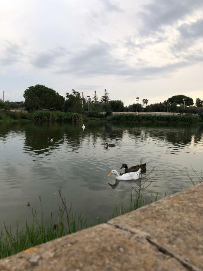 Cupersanum B&B Conversano Eksteriør bilde